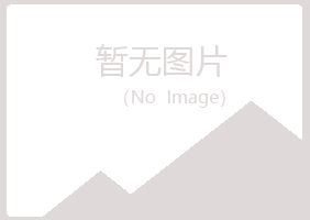 防城港山柏媒体有限公司